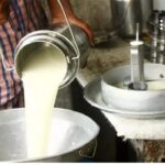 दुग्ध व्यवसाय विकास योजना: आवश्यक कागदपत्रे आणि अर्ज प्रक्रिया