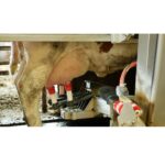 दुग्ध व्यवसाय: आधुनिक तंत्रज्ञान वापरून उत्पादन आणि नफा वाढवा!